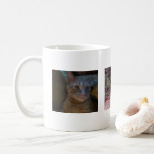 De Café Taza Kitty