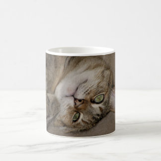 De Café Taza Kitty Cute
