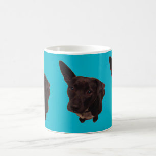 De Café Taza linda del perro