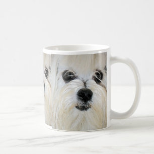 De Café Taza maltesa