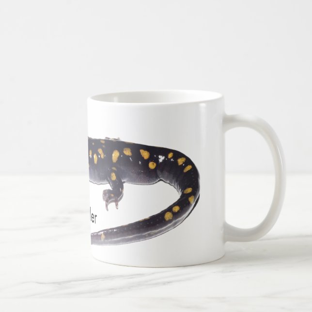 De Café Taza manchada del Salamander (Derecha)