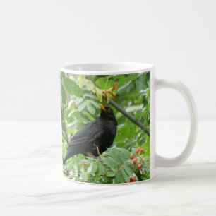 De Café Taza Mirlo y Bayas