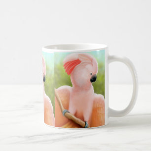 De Café Taza moluqueña del Cockatoo