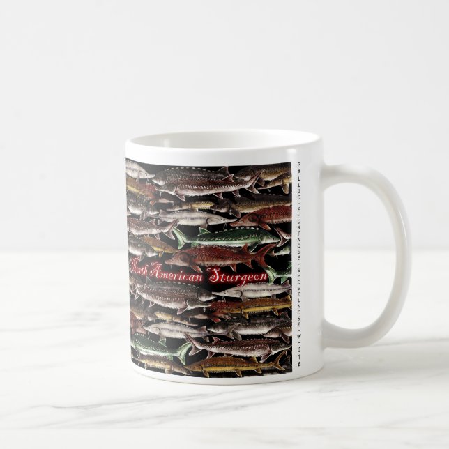 De Café Taza norteamericana del esturión (Derecha)