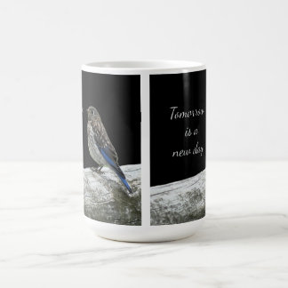 De Café Taza Pájaro en una Valla