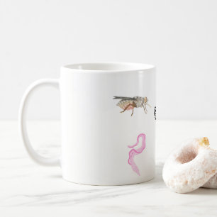 De Café Taza parasitología / Parasitology cup