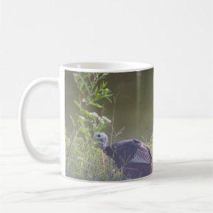 De Café Taza Pavo Salvaje Escondido en Hierba