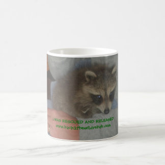 De Café taza rescatada del mapache del bebé