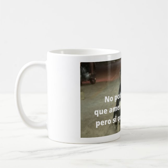 De Café Taza respeto a los animales (Izquierda)