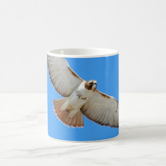 De Café Taza Rojo-Atada del halcón