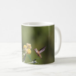 De Café Taza rufa del colibrí