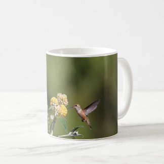De Café Taza rufa del colibrí
