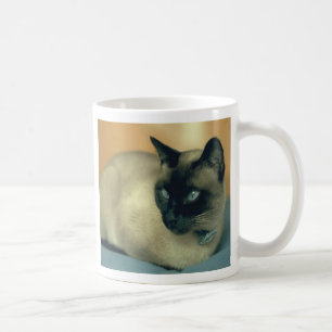 De Café Taza siamesa