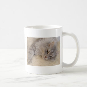 De Café Taza siberiana del gato