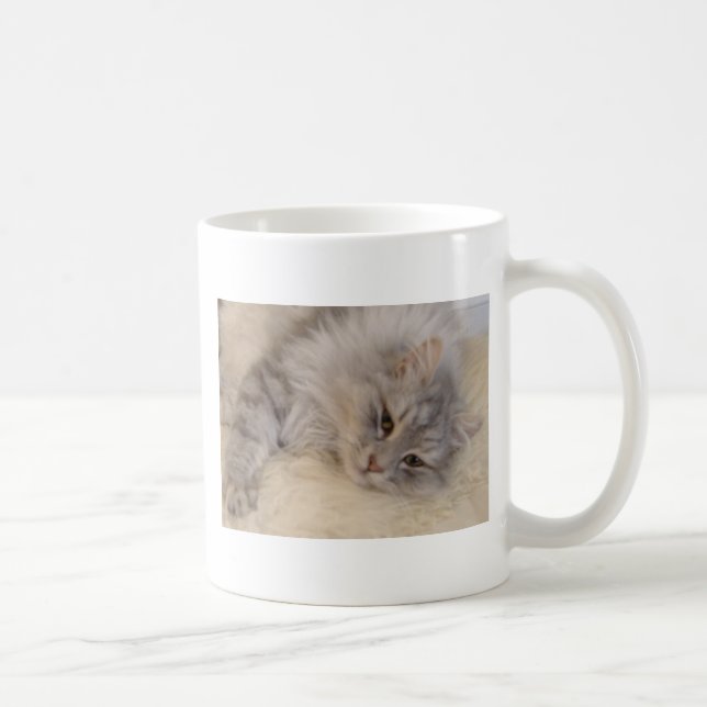 De Café Taza siberiana del gato (Derecha)