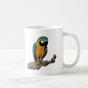 De Café Taza sola del loro anaranjado