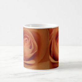 De Café Taza subió belleza del albaricoque