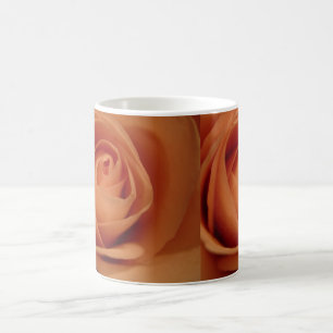 De Café Taza subió belleza del albaricoque