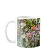 Taza suculenta del jardín