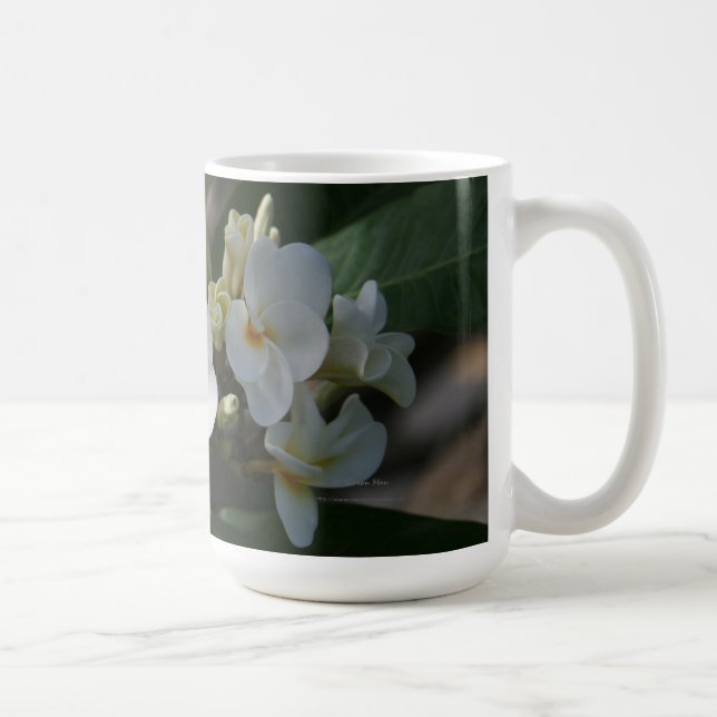 De Café Taza tropical del Plumeria (Derecha)
