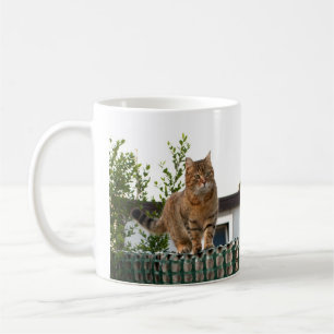 De Café un gato en una taza