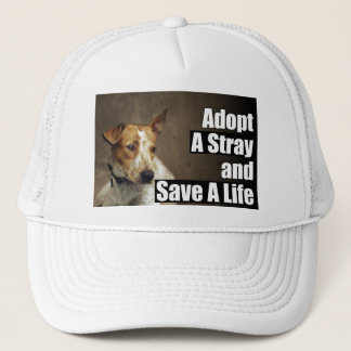 De Camionero Adopte un gorra perdido