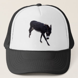 De Camionero Ayuna A ** Gorra