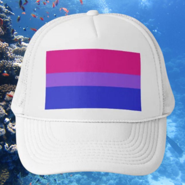 De Camionero Bi Pride Gorra audaz (Subido por el creador)