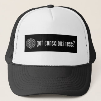 De Camionero ¿conciencia conseguida? gorra