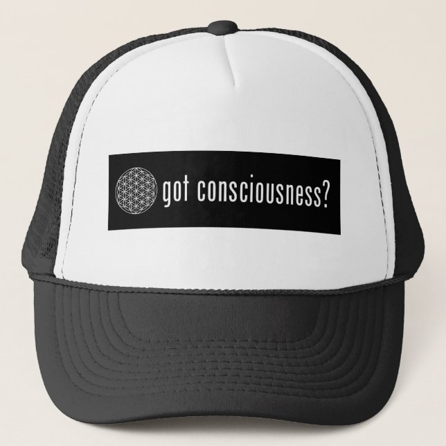 De Camionero ¿conciencia conseguida? gorra (Anverso)