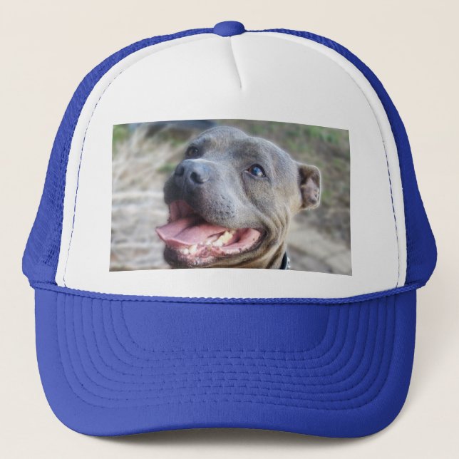 De Camionero Feliz Staffordshire Bull Terrier, Gorra (Anverso)