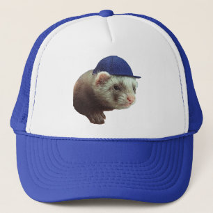 De Camionero Ferret Wearing Gorra en Gorra