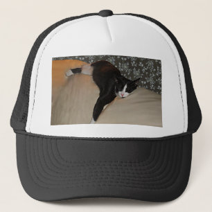 De Camionero Gato durmiendo encima del Gorra del sofá