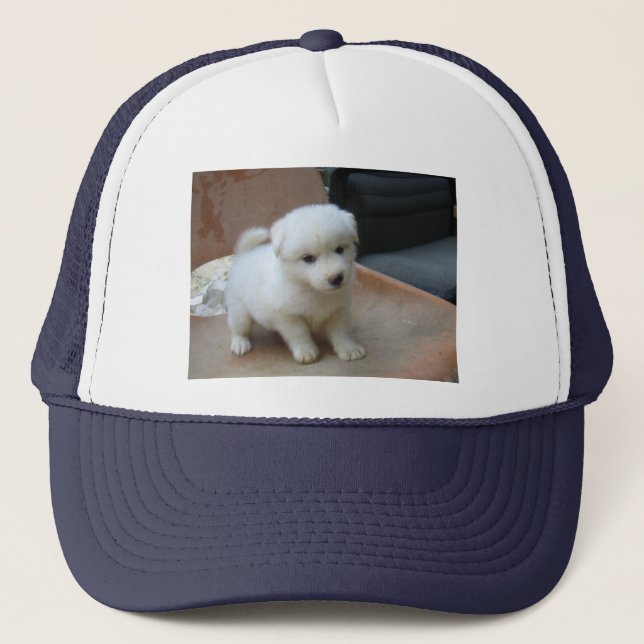 De Camionero Gorra (Anverso)