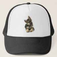 Gorra Alsatian