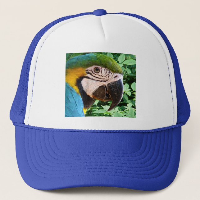 De Camionero Gorra azul del loro del Macaw (Anverso)