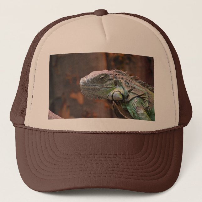 De Camionero Gorra con colorida iguana (Anverso)