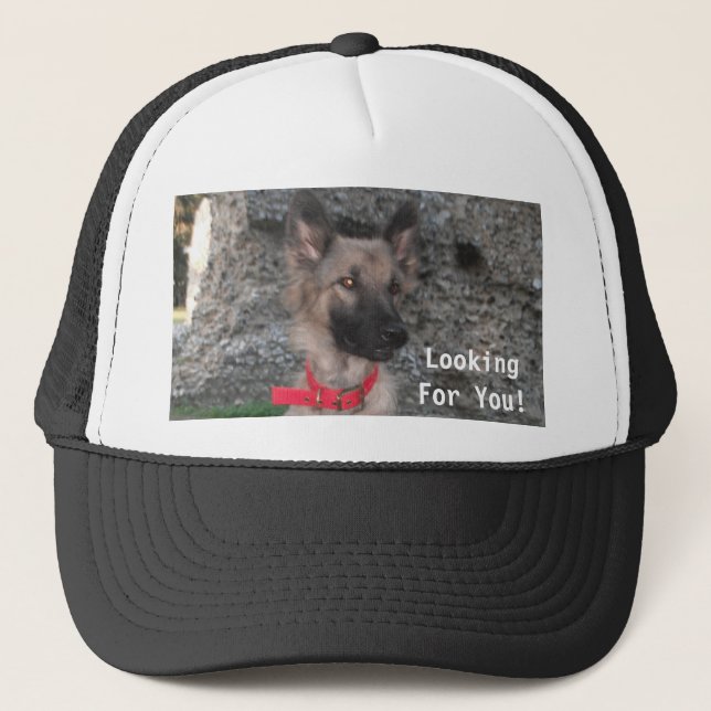 De Camionero Gorra Con Pastor Alemán (Anverso)