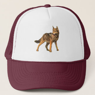 De Camionero gorra del coyote