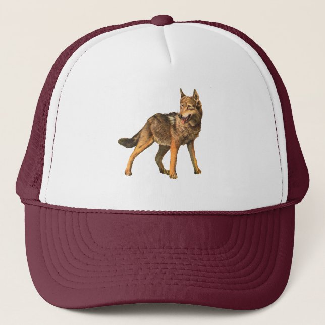 De Camionero gorra del coyote (Anverso)