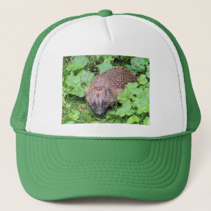 De Camionero Gorra del erizo