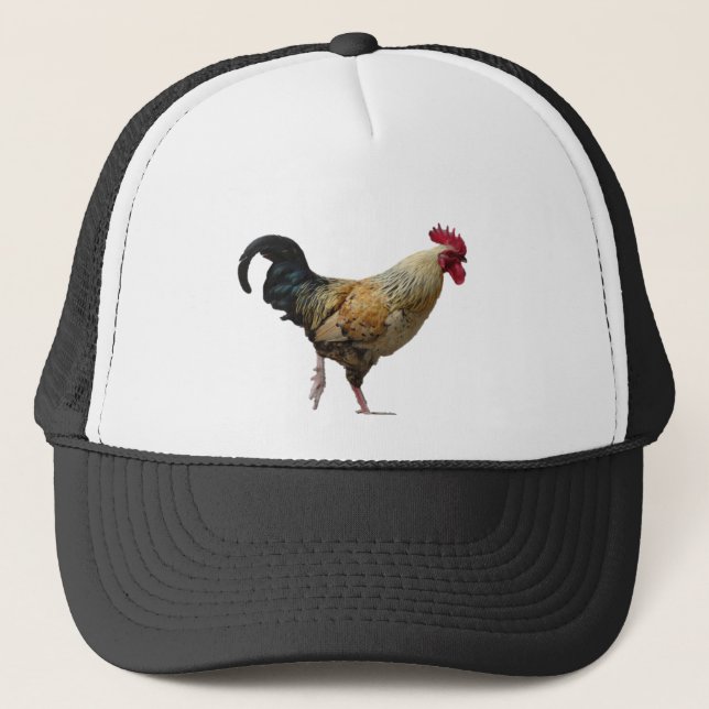 De Camionero Gorra del gallo (Anverso)