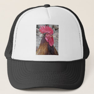 De Camionero Gorra del gallo