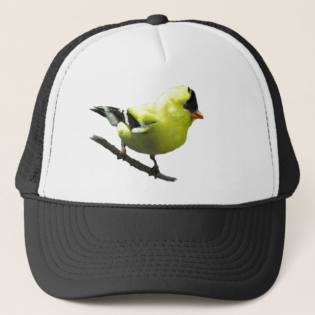 De Camionero Gorra del Goldfinch (Anverso)