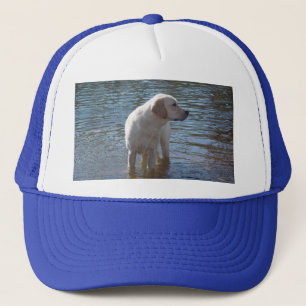 De Camionero Gorra del labrador retriever en el lago