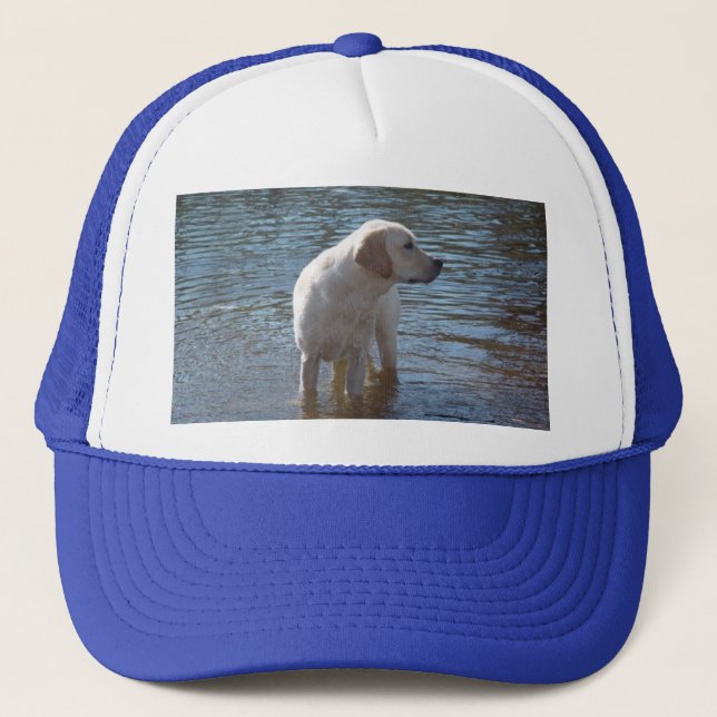 De Camionero Gorra del labrador retriever en el lago (Anverso)
