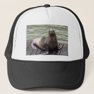 De Camionero Gorra del león marino