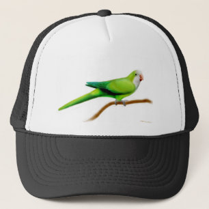 De Camionero Gorra del loro del Quaker