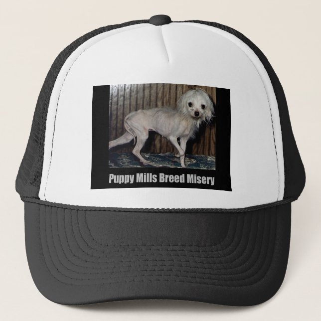 De Camionero Gorra del molino del perrito (Anverso)