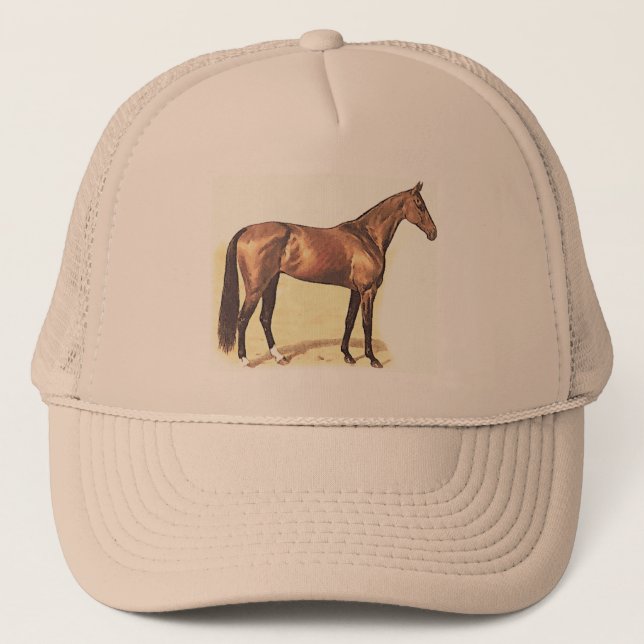 De Camionero Gorra excelente (Anverso)